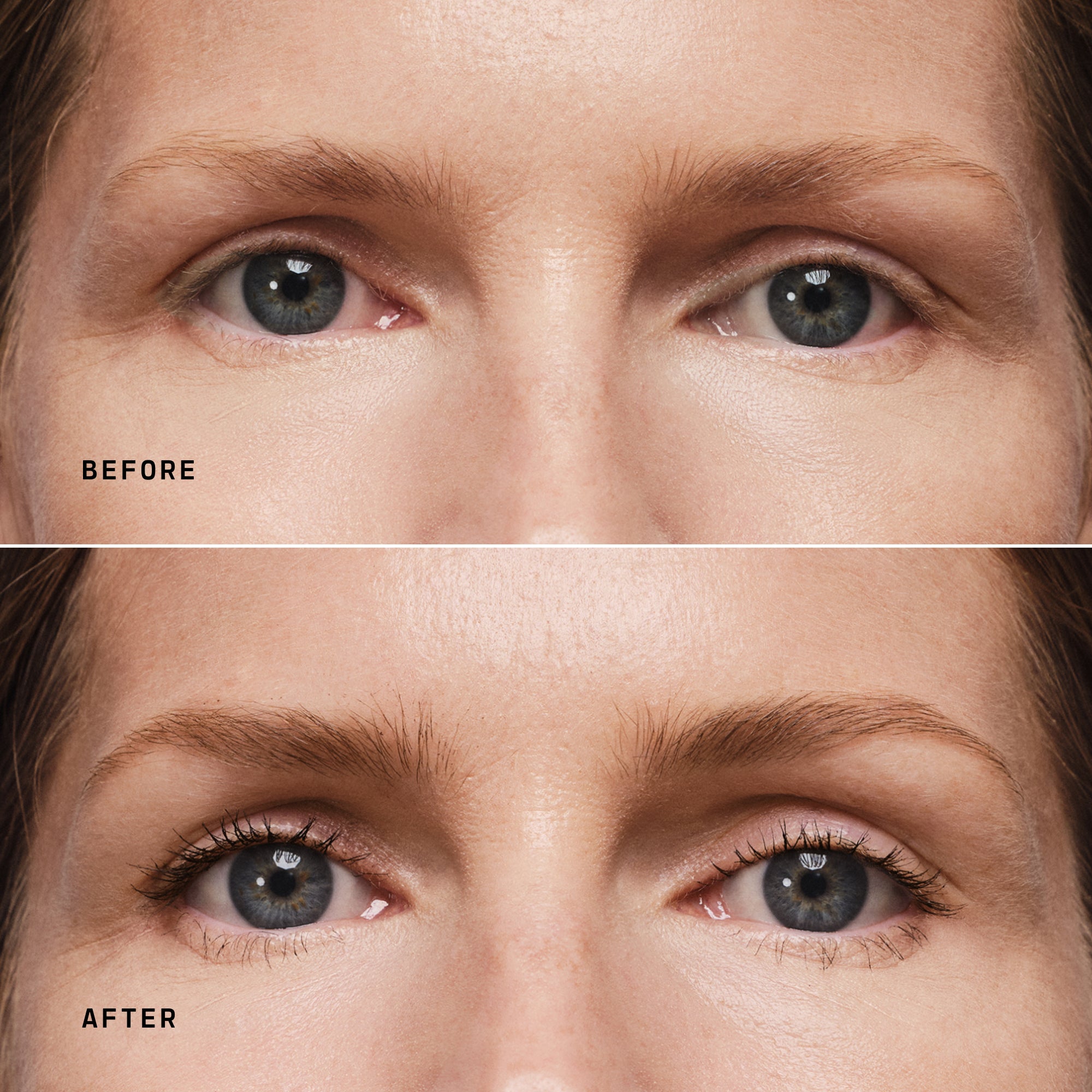 Brows and Lashes - Image 4